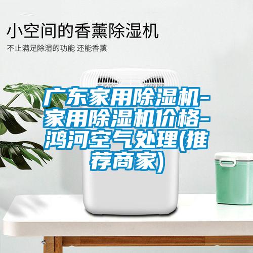 广东家用除湿机-家用除湿机价格-鸿河空气处理(推荐商家)