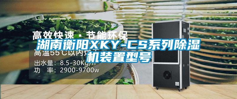 湖南衡阳XKY-CS系列除湿机装置型号