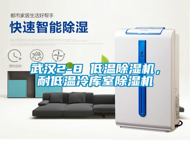 武汉2-8℃低温除湿机，耐低温冷库室除湿机