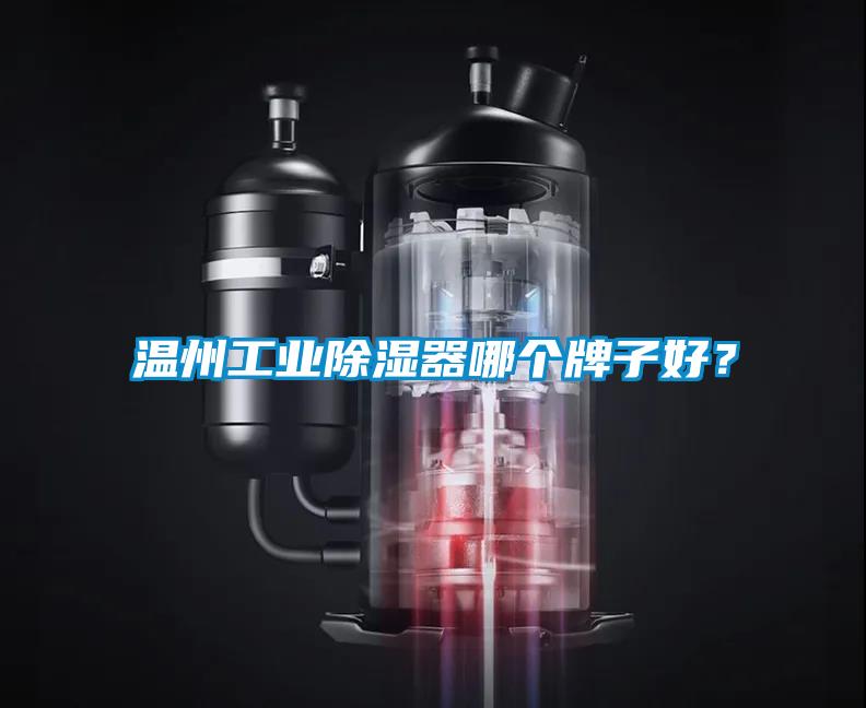温州工业除湿器哪个牌子好？