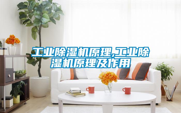 工业除湿机原理,工业除湿机原理及作用