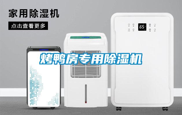 烤鸭房专用除湿机