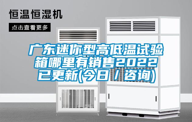 广东迷你型高低温试验箱哪里有销售2022已更新(今日／咨询)