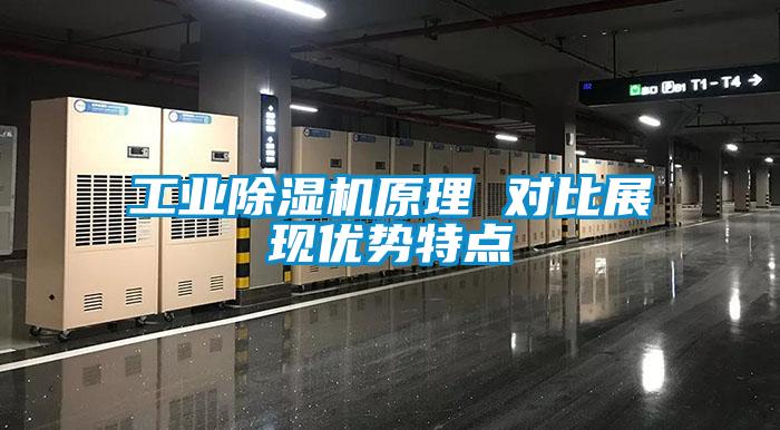 工业除湿机原理 对比展现优势特点