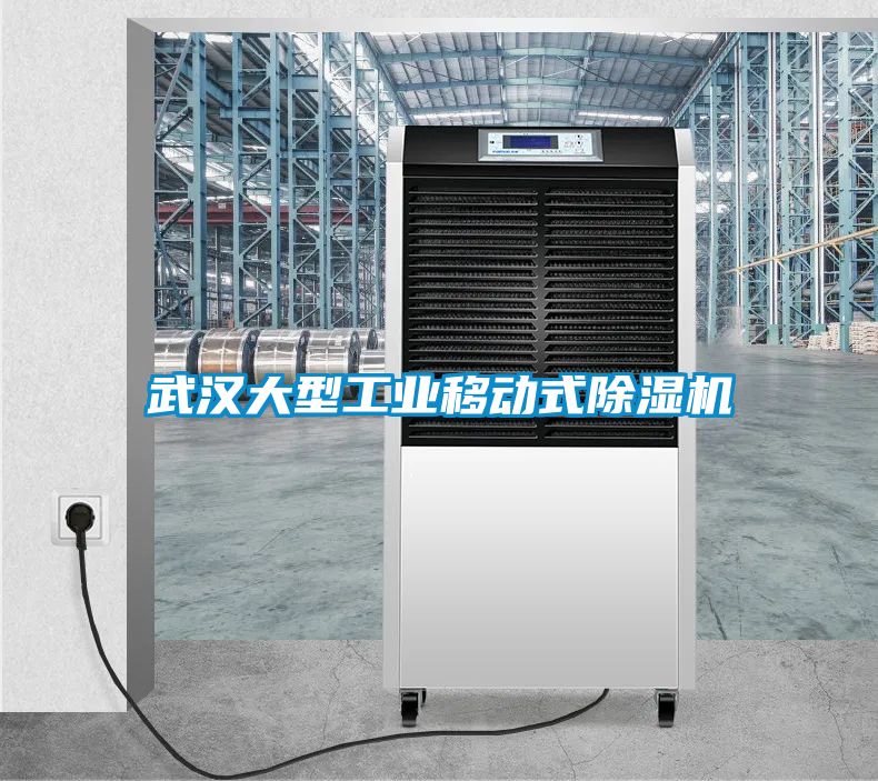 武汉大型工业移动式除湿机