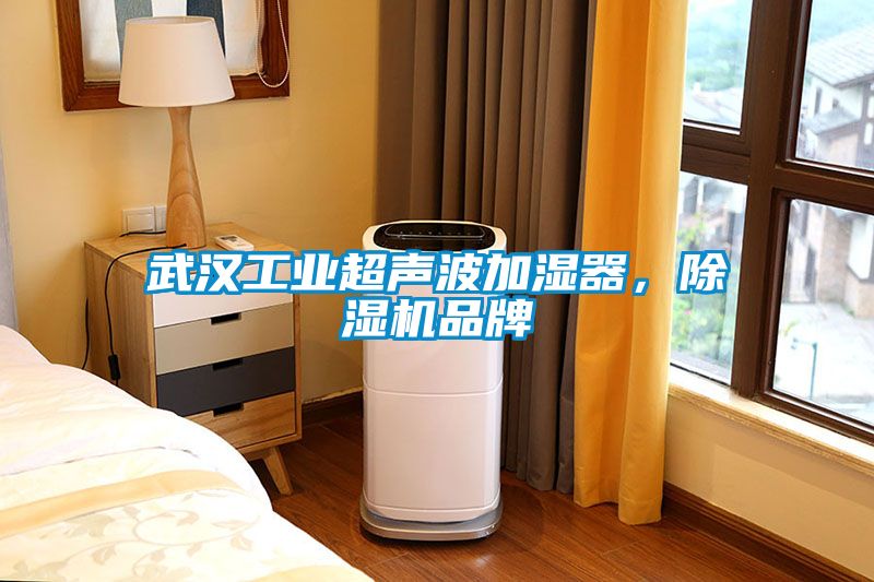 武汉工业超声波加湿器，除湿机品牌