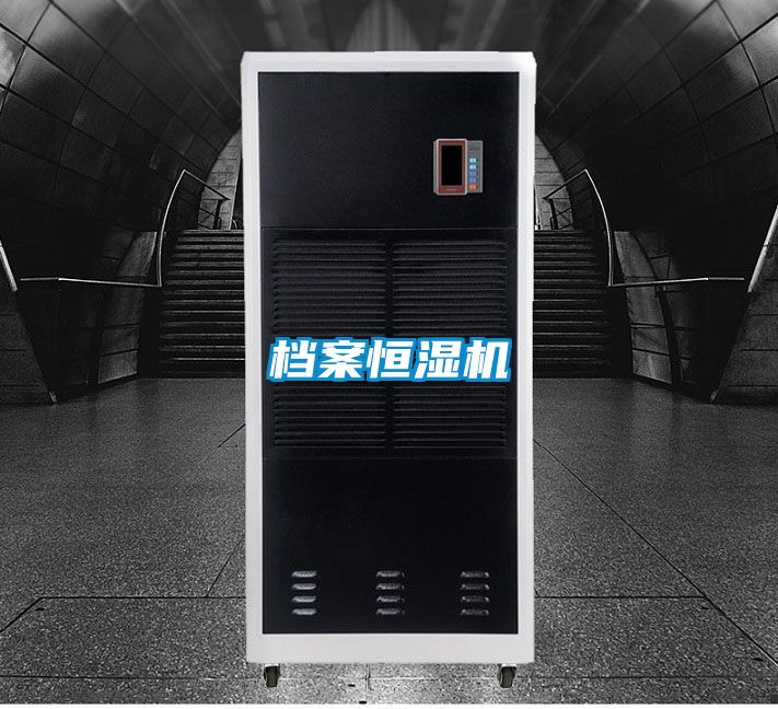 档案恒湿机