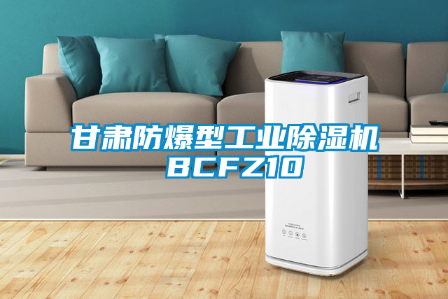 甘肃防爆型工业除湿机 BCFZ10