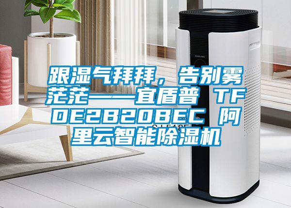 跟湿气拜拜，告别雾茫茫——宜盾普 TFDE2B20BEC 阿里云智能除湿机