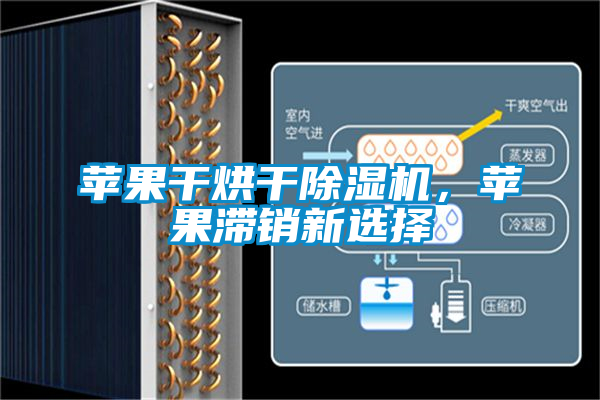 苹果干烘干除湿机，苹果滞销新选择