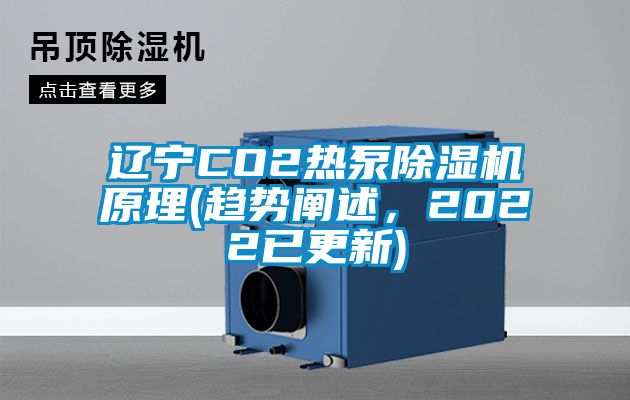 辽宁CO2热泵除湿机原理(趋势阐述，2022已更新)