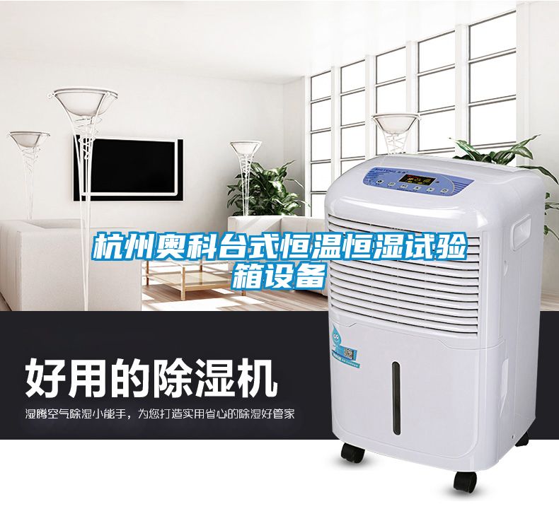 杭州奥科台式恒温恒湿试验箱设备