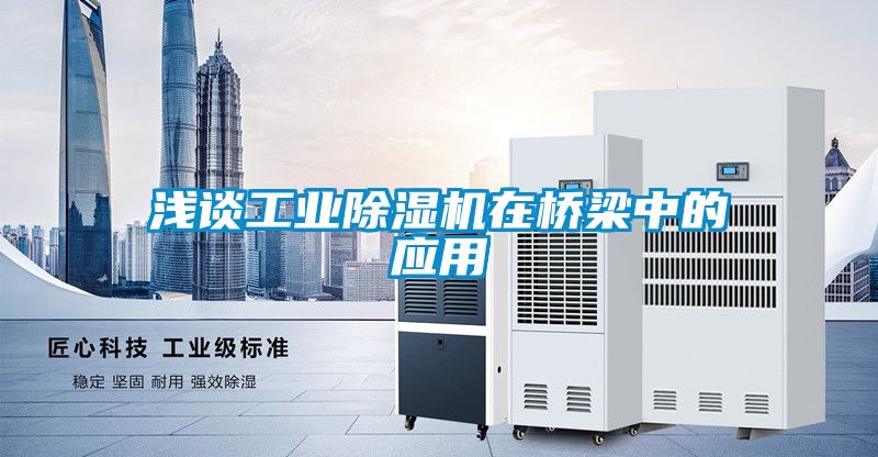 浅谈工业除湿机在桥梁中的应用