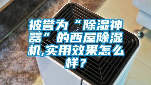 被誉为“除湿神器”的西屋除湿机,实用效果怎么样？