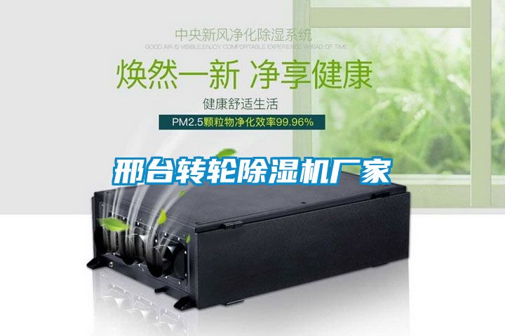 邢台转轮除湿机厂家
