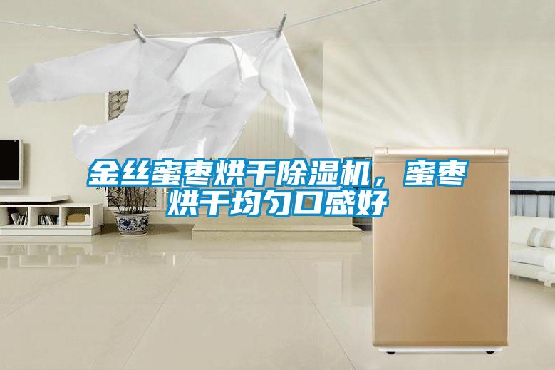 金丝蜜枣烘干除湿机，蜜枣烘干均匀口感好