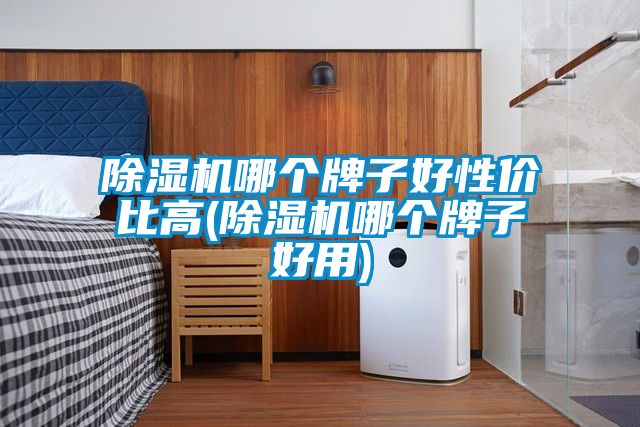 除湿机哪个牌子好性价比高(除湿机哪个牌子好用)