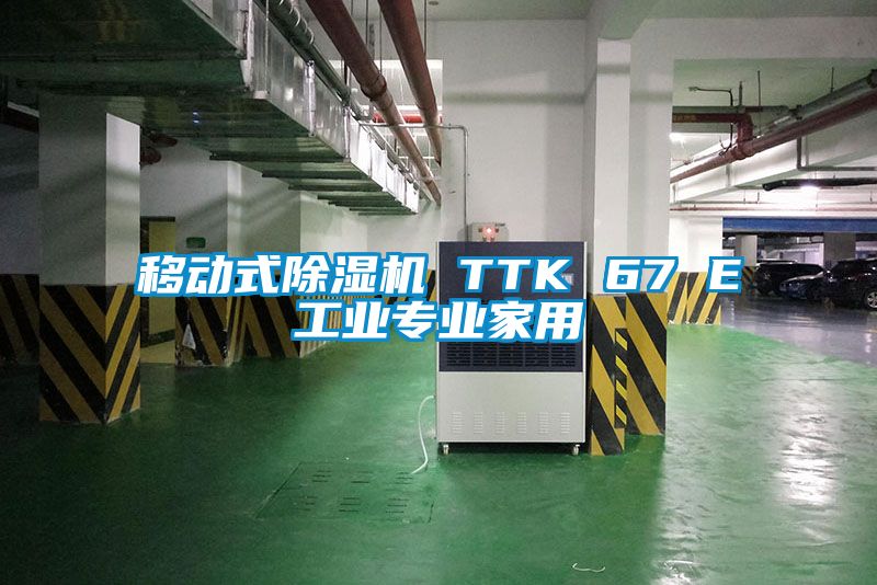 移动式除湿机 TTK 67 E工业专业家用