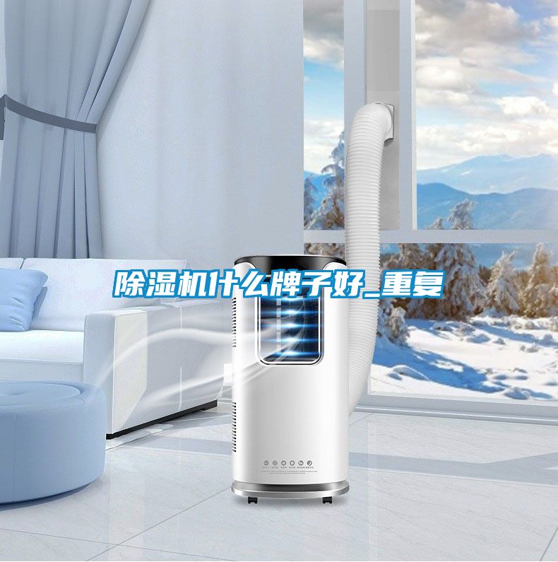 除湿机什么牌子好_重复