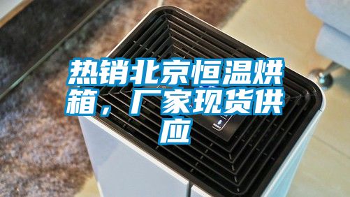 热销北京恒温烘箱，厂家现货供应