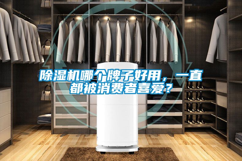 除湿机哪个牌子好用，一直都被消费者喜爱？