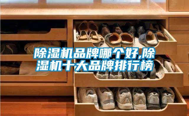 除湿机品牌哪个好,除湿机十大品牌排行榜