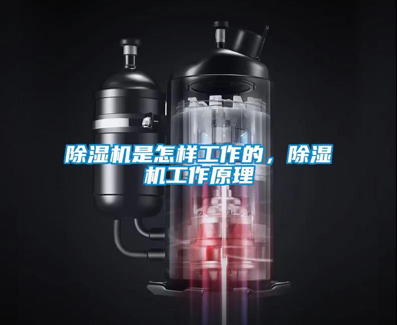 除湿机是怎样工作的，除湿机工作原理