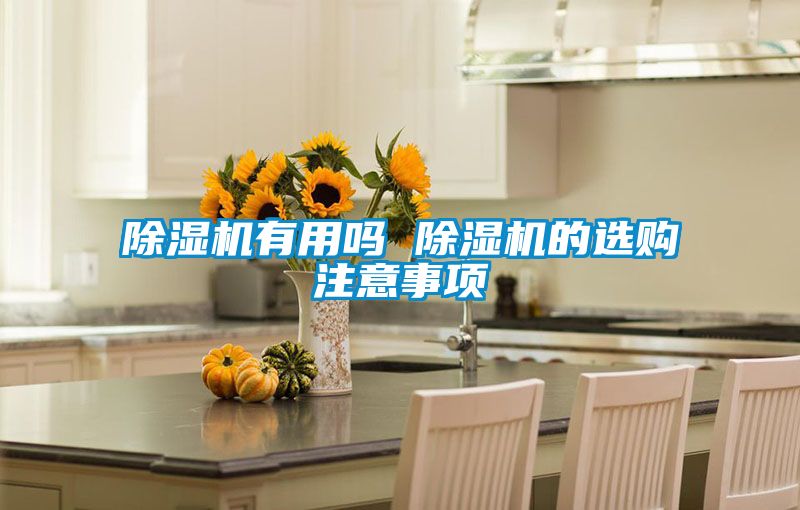 除湿机有用吗 除湿机的选购注意事项