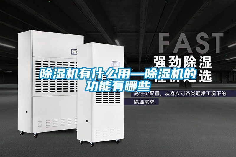 除湿机有什么用—除湿机的功能有哪些