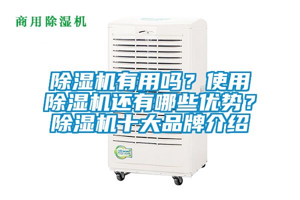 除湿机有用吗？使用除湿机还有哪些优势？除湿机十大品牌介绍