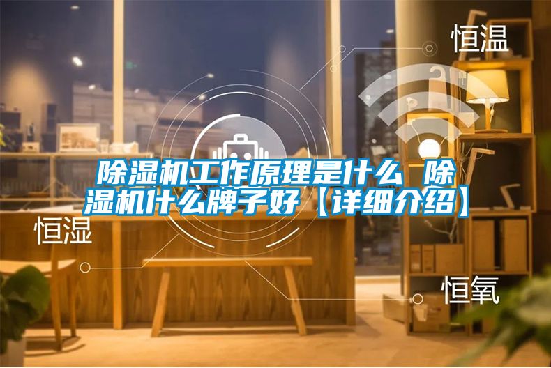 除湿机工作原理是什么 除湿机什么牌子好【详细介绍】