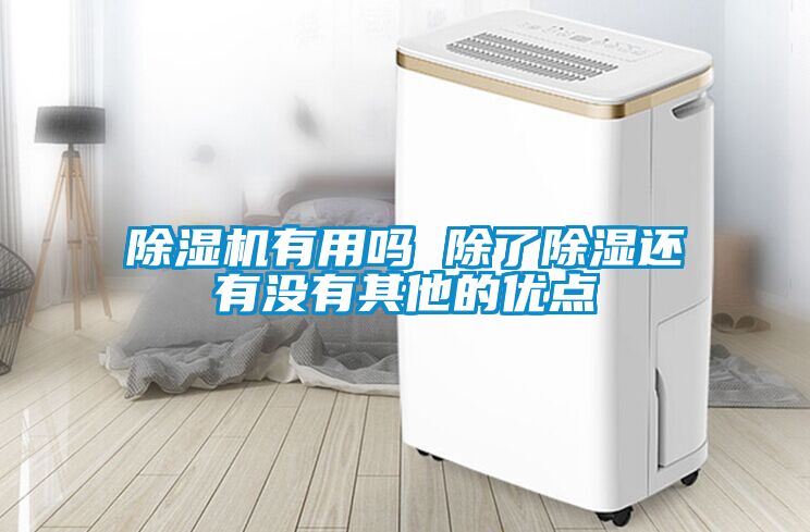除湿机有用吗 除了除湿还有没有其他的优点