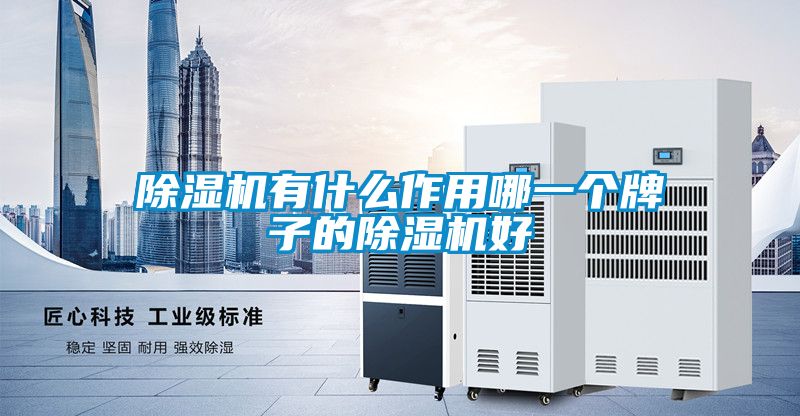 除湿机有什么作用哪一个牌子的除湿机好