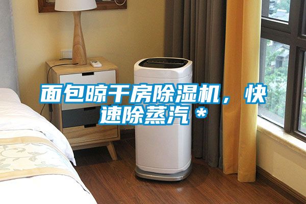 面包晾干房除湿机，快速除蒸汽＊