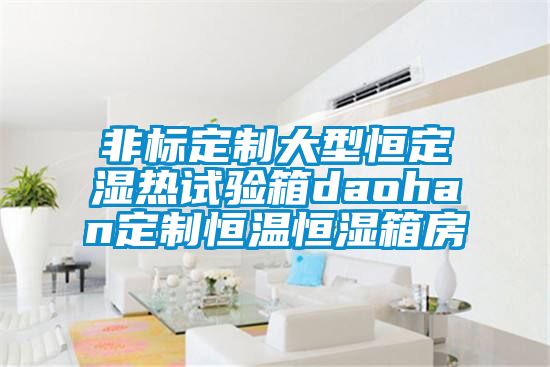 非标定制大型恒定湿热试验箱daohan定制恒温恒湿箱房