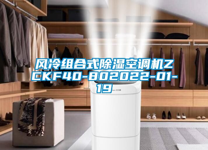 风冷组合式除湿空调机ZCKF40-802022-01-19