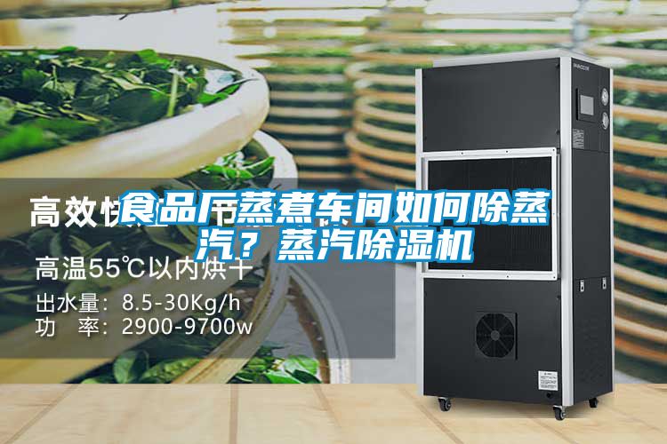 食品厂蒸煮车间如何除蒸汽？蒸汽除湿机